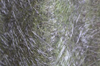 Wheat Hold fibreglass roof work